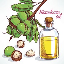 캔들바다 마카다미아넛 오일 비누만들기재료, [ 100ml ]