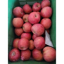 경북사과 부사 특품4 사이즈 20kg 15kg 10kg, 경북사과 부사 특품4 10kg