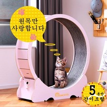 런캣 무소음 간단 설치 원목 캣휠 고양이캣휠, XL(113*36*120), 간이 설치, 베이지핑크, XL(113*36*120)