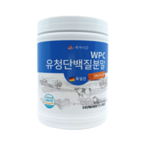 WPC 유청단백질 분말 300g 독일산100% HACCP 인증제품, 1통