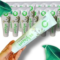 하얀 민들레 치약, 160g, 4개