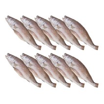 녹차품은 반건조 민어 10미 여수수협 국내산 천일염100% 기력회복, 단품