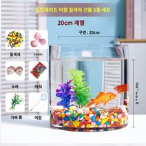 알리 금붕어 탱크 유리 수족관 작은 크리 에이 티브 생태 원형 원통형 대형 거북 조경 액세서리, 입 20 높이 30 실린더   컬러 스톤 6종 세트