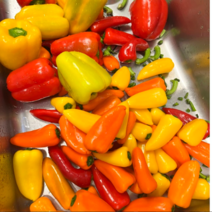 특품 국내산 싱싱하고 아삭한 파프리카 미니파프리카 못난이 1kg 2kg 피망