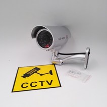 비투비월드 LED 아이존 S9 모형 감시카메라/방범용 모형CCTV, 없음