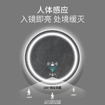 화장실 거울 세면대거울 욕실거울 LED 벽걸이 서리제거, 지름 80cm, 삼색광+움직임감지+서리제거+시간온도