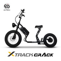 AU테크 엑스트랙 크랙 전기 전동킥보드 스쿠터 바이크 48V 12.5Ah