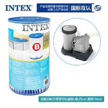 INTEX 수영장여과기 펌프 필터 2개 (28636용) 29005, 대형 28636 펌프용 2개 (29005)