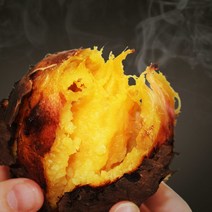 [소리팜] 해남 꿀고구마 10kg (못난이), 상세 설명 참조, 상세 설명 참조