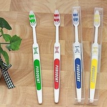 독일 화이트 퓨로덴트치솔/여행용치솔/소프트치솔(GD0637), 그린