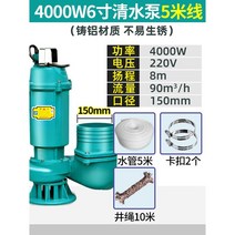 수중펌프 워터 진공 펌프 양수 양수기 소형 자동 농업용 모터 전기 오수 하수 분뇨, (동선)4000W 6인치 워터펌프 /5m전선 5m호스, 1개