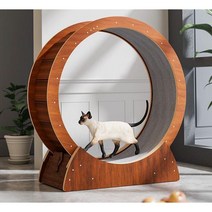 Dorcot 고양이 캣휠 무소음 반려동물 운동 캣워크, M