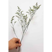 수앤로즈플라워 프리저브드 미스티블루 드라이플라워 말린꽃 청첩장 프리저브드꽃다발 초대장재료, 청첩장용 70g