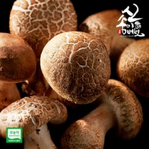 [보섭이네푸드]송이향 품은 무농약 신송이버섯 500g 내외(3급), 단품