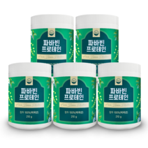 웰리즈 자이언트 파바빈 프로테인 210g 식물성 단백질 파바빈콩 분말 100%, 5개 210g, 5개