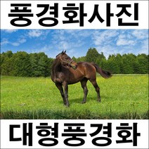 A027/인테리어소품/말사진/풍경화/벽장식/말그림