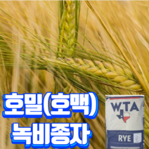 호밀씨앗 10kg - 토질개량 초생재배 모종, 1개