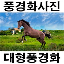 E193/인테리어소품/말사진/풍경화/벽장식/말그림