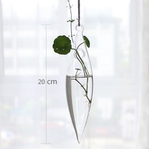 수경 재배 스마트팜 보온재 영양제 콩나물 시루크리에이티브 투명 유리 꽃병 수경 컨테이너 테라리움 꽃, 03 3