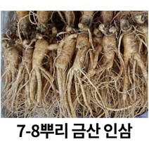 국내산 금산 인삼 수삼 가정용 인삼 5년근 250g(5-7뿌리), 250g(5-7뿌리) 세척원하지않아요(X)