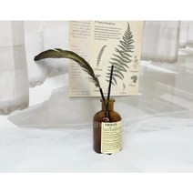 갈색 시약병 디퓨저 용기 100ml