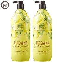 해피바스 블루밍 퍼퓸 버베나&시트러스 바디워시 1200ml, 2개
