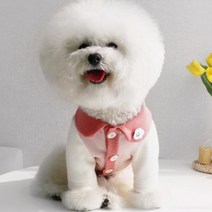 [말랑콩떡] 강아지 카라 맨투맨 뭉게뭉게 구름 티셔츠, 핑크