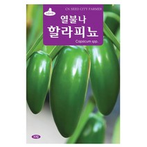 멕시코고추 할라피뇨 씨앗 할라피뇨씨 30립