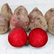[장보리] 국내산 고당도 레드비트 5kg, 상세 설명 참조