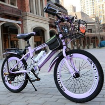 접이식자전거중국1위제품 전기 26인치 1000W 모터지원, 다른블랙및레드변속럭셔리리어프레임바스켓24인치