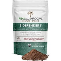 버섯 블렌드 차가버섯 영지버섯 표고버섯 잎새버섯 칠면조꼬리버섯 분말 45g, 45g (1 팩)