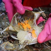 연평도 알베기 냉동 암꽃게, 연평도 알베기 냉동 암꽃게 1kg(3미~5미)