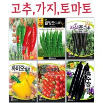 주주씨앗 가지과 과일채소 씨앗 20종 / 고추씨앗가지과 과일채소 씨앗 20종 / 고추씨앗 / 토마토씨앗 / 파프리카씨앗 / 가지씨앗, 8. 황금거탑 1200립