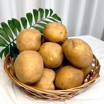 산들미가 2022년 저장감자 두백감자 (특대혼합)- 3kg/5kg /10kg, 5kg