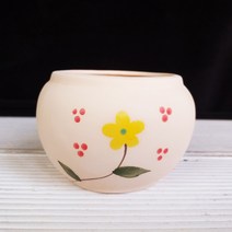 서평택다육화분 화분 1897, 혼합색상5