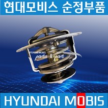 트라고 뉴파워텍 엑시언트 써머스텟 써모스텟 썸머스타트 2554084751, 1개