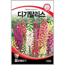 디기탈리스 1000립 꽃씨 다년생 씨앗 몰 봄 여름 가을 야생화 세계종묘 농사마트