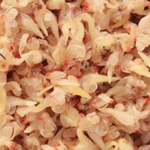 말린 조개살 1kg 국물용 건조갯살 마른 건어물 반찬 무침용, 1개