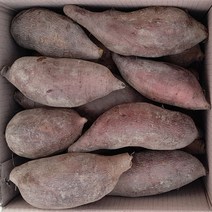 국내산 야콘 5kg, 야콘 흠과 5kg(즙용)