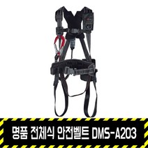 동명 명품 전체식 안전벨트 DMS-A203, 1개