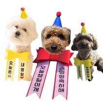 도기머기 강아지 생일파티세트 (케이크포함), 핑크세트, 소간칩케이크