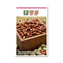다농 땅콩 씨앗 30g