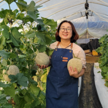 추석 과일 농장에서 직접 발송하는 고당도 머스크 멜론, 1박스, 4kg(2수)