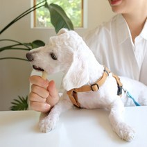 3개월강아지개껌 강아지양치 대형견개껌 뉴트리오 7종 껌, 1개, 연어