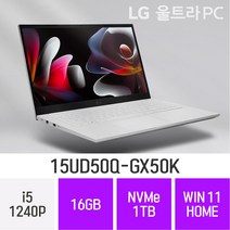 LG전자 2022 울트라PC 15UD50Q-GX50K - 15인치 가볍고 휴대하기 좋은 사무용 인강용 대학생 추천 노트북, Win11 Home, 16GB, 1TB