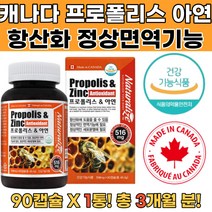 캐나다 프로폴리스 아연 항산화에도움 정상면역기능 그린프로폴리스 그린프로폴리스추천 프로볼리스먹는법 프로폴리스아연 항산화제품 프로폴리스분말 로얄프로폴리스 프로폴리스함량