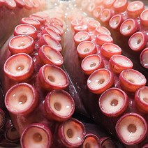 문어아빠 고성피문어 자숙 삶은문어 산지직송 참문어 대문어, 800g