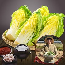 [참다올] [예약배송] [전라도광주김치] 절임배추20kg (7-8포기), 발송일 선택:11월23일 발송_11월24일(수)도착예정