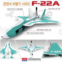 [과학교구] F-22A 콘덴서 비행기(단체 학습 대회용) 고성능코어리스모터아카데미과학 글라이더 고무동력기 물로켓 에어로켓 콘덴서