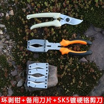 과일나무 박피 조피 껍질벗기기 박피기 조피기 박피칼 조피칼 전지작업, 박피기+전지가위